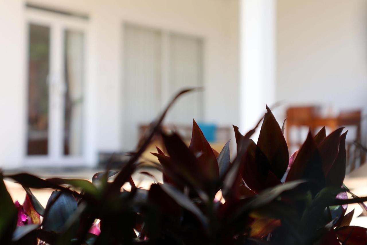 Ella Touch Bed & Breakfast Ngoại thất bức ảnh